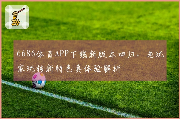 6686体育APP下载新版本回归，老玩家玩转新特色真体验解析