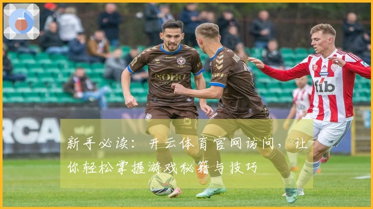 新手必读：开云体育官网访问，让你轻松掌握游戏秘籍与技巧