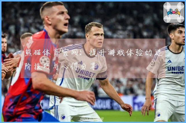 熊猫体育官网：提升游戏体验的进阶技巧与心得分享