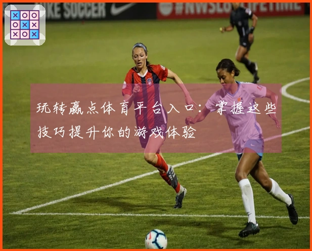玩转赢点体育平台入口：掌握这些技巧提升你的游戏体验