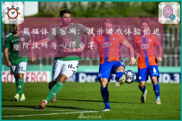 熊猫体育官网：提升游戏体验的进阶技巧与心得分享